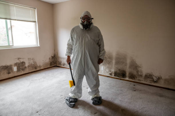 Best Office Mold Removal Services  in Hardwick, GA